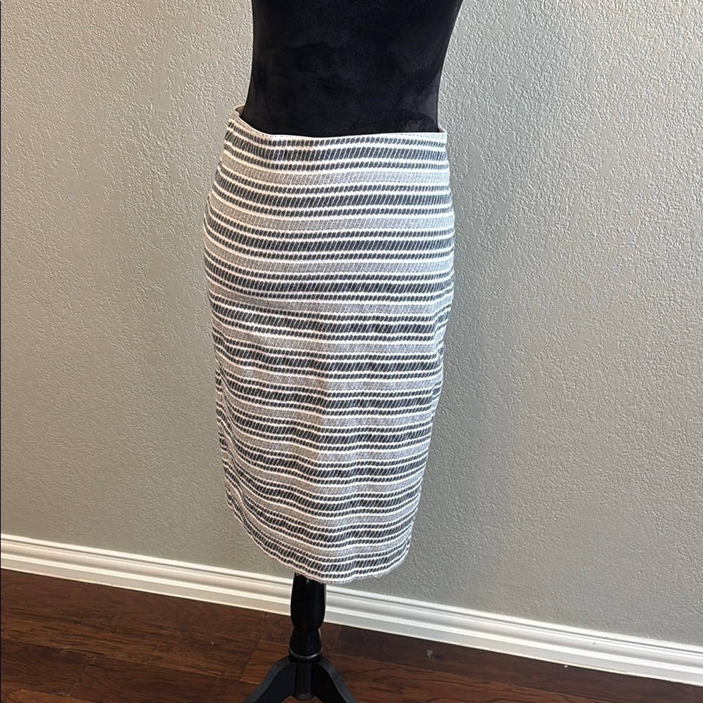 Ann Taylor Striped Navy and White Women's Skirt